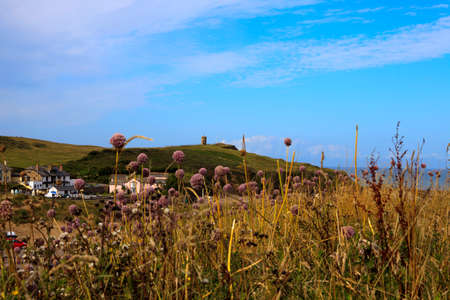 Bude (England), UK - August 08, 2015: Bude village, Cornwall, United Kingdom.のeditorial素材