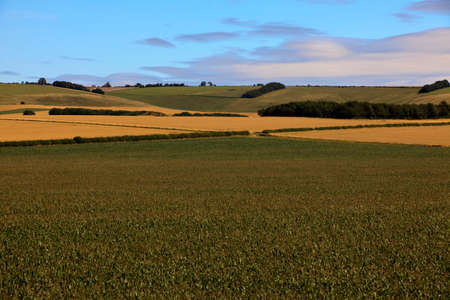 Avebury (England), UK - August 05, 2015: Fields near Avebury, Wiltshire , England, United Kingdom.のeditorial素材