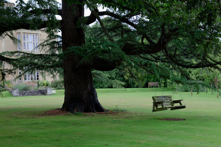 Glastonbury (England), UK - August 07, 2015: Park in Glastonbury, Somerset, United Kingdom.のeditorial素材
