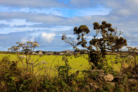 Madron (England), UK - August 16, 2015: Typical cornwall landscape, Cornwall, England, United Kingdom.のeditorial素材