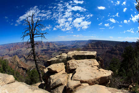 Arizona / USA - August 01, 2015: South Rim Grand Canyon landscape, Arizona, USAのeditorial素材