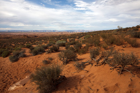Page, Arizona / USA - August 05, 2015: Landscape near Horseshoe Bend, Page, Arizona, USAのeditorial素材