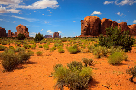 Utah/Arizona / USA - August 10, 2015: The Monument Valley Navajo Tribal Reservation landscape, Utah/Arizona, USAのeditorial素材