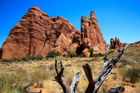 Moab, Utah / USA - August 18, 2015: Rock formation and landscape at Arches National Park, Moab, Utah, USAのeditorial素材