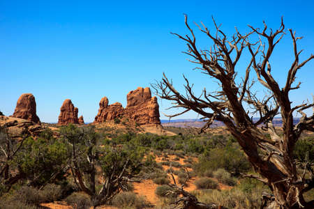 Moab, Utah / USA - August 18, 2015: Rock formation and landscape at Arches National Park, Moab, Utah, USAのeditorial素材