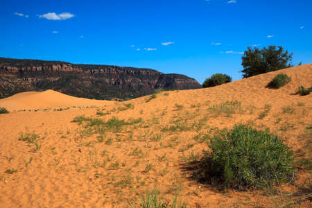 Utah / USA - August 22, 2015: Sand and dunes area in Coral Pink Sand Dunes State Park, Utah, USAのeditorial素材
