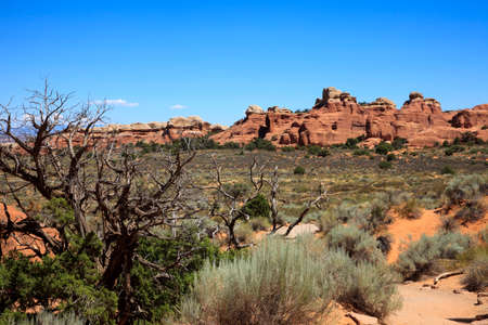Moab, Utah / USA - August 18, 2015: Landscape at Arches National Park, Moab, Utah, USAのeditorial素材
