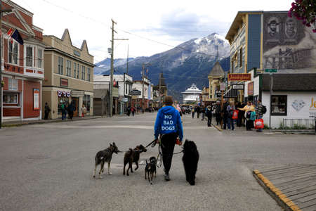 Skagway, Alaska / USA - August 12, 2019: Dog sitter in Skagway town , Skagway, Alaska, USAのeditorial素材
