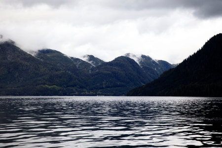 Neets Bay, Alaska / USA - August 18, 2019: Neets Bay coastline landscape, Neets Bay, Alaska, USAのeditorial素材