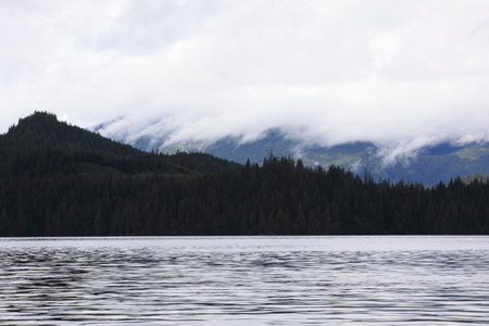 Neets Bay, Alaska / USA - August 18, 2019: Neets Bay coastline landscape, Neets Bay, Alaska, USA