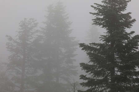 Vancouver, America - August 18, 2019: Foggy at Grouse Mountain, Vancouver, Americaのeditorial素材