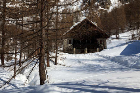 Devero Park ( Verbano-Cusio-Ossola ), Italy - January 15, 2017: Typical houses in the forest at Alpe Devero Park, Ossola Valley, VCO, Piedmont, Italyのeditorial素材