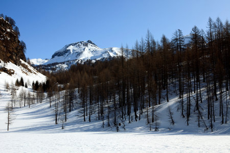 Devero Park ( Verbano-Cusio-Ossola ), Italy - January 15, 2017: Alpe Devero Park landscape, Ossola...