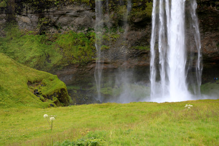Seljalandsfoss / Iceland - August 15, 2017: Seljalandsfoss one of the most famous Icelandic waterfall, Iceland, Europeのeditorial素材