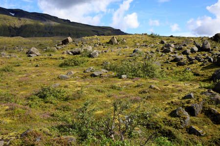 Skaftafell / Iceland - August 18, 2017: Landscape near Skaftafellsjokull glacier, Iceland, Europeのeditorial素材