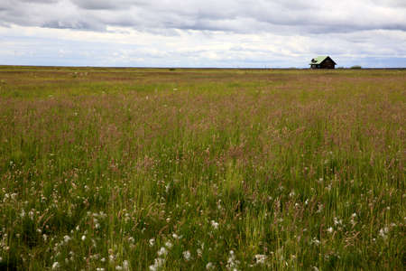 Seljalandsfoss / Iceland - August 15, 2017: The landscape near Seljalandsfoss waterfall, Iceland, Europeのeditorial素材