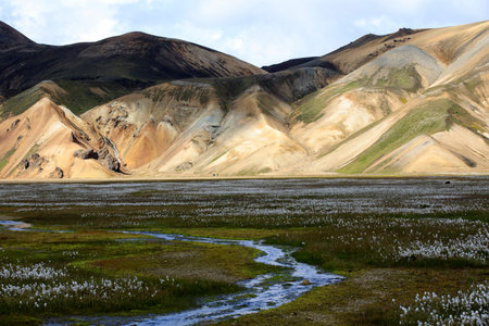 Landmannalaugar / Iceland - August 15, 2017: The landscape and colorful mountains at Landmannalaugar park, Iceland, Europeのeditorial素材