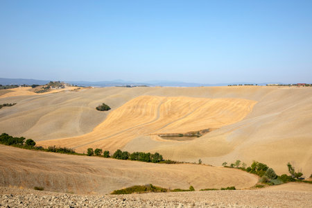 Asciano (SI), Italy - August 02, 2021: Typical scenary of Crete Senesi, Asciano, Siena, Tuscany, Italyのeditorial素材