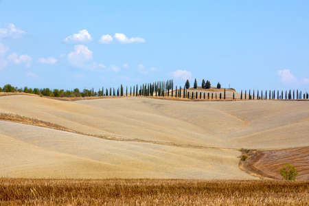 Asciano (SI), Italy - August 02, 2021: Typical scenary of Crete Senesi, Asciano, Siena, Tuscany, Italyのeditorial素材
