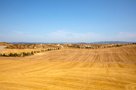 Asciano (SI), Italy - August 02, 2021: Typical scenary of Crete Senesi, Asciano, Siena, Tuscany, Italyのeditorial素材