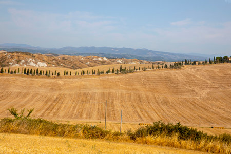 Asciano (SI), Italy - August 02, 2021: Typical scenary of Crete Senesi, Asciano, Siena, Tuscany, Italyのeditorial素材