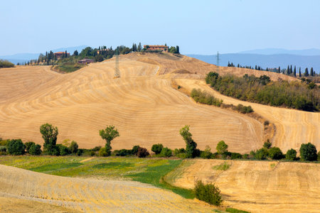 Asciano (SI), Italy - August 02, 2021: Typical scenary of Crete Senesi, Asciano, Siena, Tuscany, Italyのeditorial素材