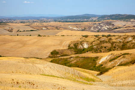 Asciano (SI), Italy - August 02, 2021: Typical scenary of Crete Senesi, Asciano, Siena, Tuscany, Italyのeditorial素材