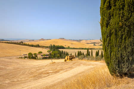 Asciano (SI), Italy - August 02, 2021: Typical scenary of Crete Senesi, Asciano, Siena, Tuscany, Italyのeditorial素材
