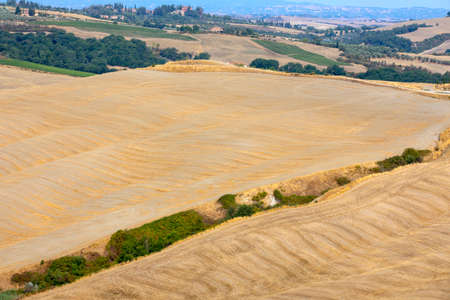 San Quirico d 'Orcia (SI), Italy - August 05, 2021: Typical scenary in val d' Orcia, Tuscany, Italyのeditorial素材