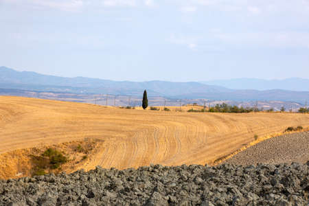 San Quirico d 'Orcia (SI), Italy - August 05, 2021: Typical scenary in val d' Orcia, Tuscany, Italyのeditorial素材