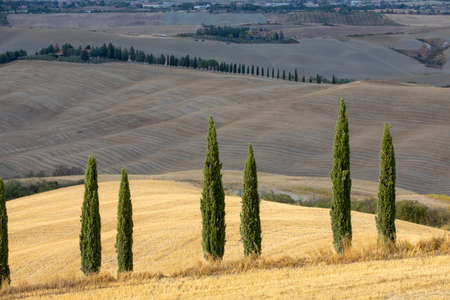 Val d 'Orcia (SI), Italy - August 05, 2021: Typical landscape in val d' Orcia, Tuscany, Italyのeditorial素材
