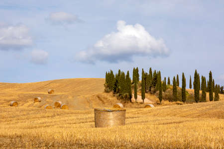 Val d 'Orcia (SI), Italy - August 05, 2021: Typical landscape in val d' Orcia, Tuscany, Italyのeditorial素材