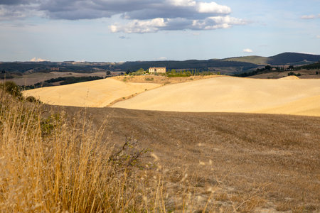 Val d 'Orcia (SI), Italy - August 05, 2021: Typical landscape in val d' Orcia, Tuscany, Italyのeditorial素材