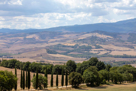 Val d 'Orcia (SI), Italy - August 05, 2021: Typical landscape in val d' Orcia, Tuscany, Italyのeditorial素材