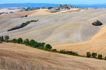 Val d 'Orcia (SI), Italy - August 05, 2021: Typical landscape in val d' Orcia, Tuscany, Italyのeditorial素材