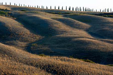 Val d 'Orcia (SI), Italy - August 05, 2021: Typical landscape in val d' Orcia, Tuscany, Italyのeditorial素材