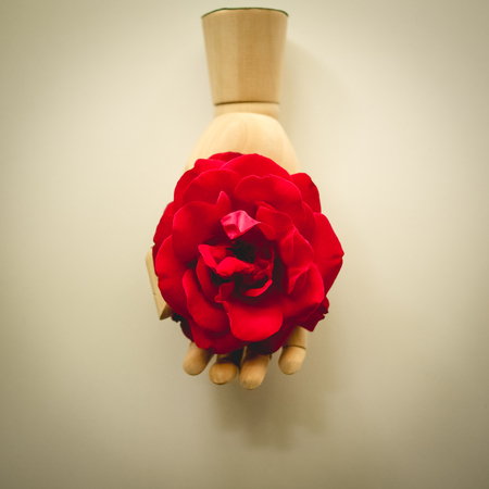 Vintage looking image of a wooden model hand holding a red rose. Square format.の写真素材