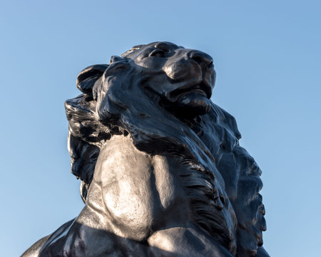 Bronze lion statue on background of the blue sky.の写真素材