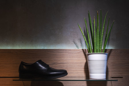 Green plant in a pot with mans shoes on dark background.の写真素材