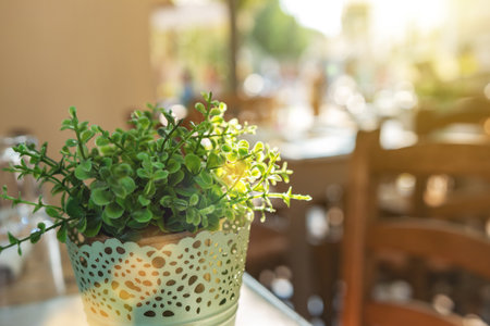Green plant in the pot on the street.の写真素材