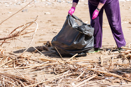 Volunteer collecting trash on the beach. Environment concept.の写真素材