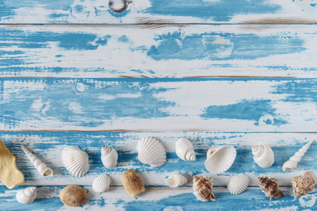 Seashells on blue wooden board. Summer holiday background.の写真素材