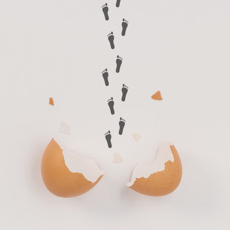 Broken eggshell with footprints of newly born.