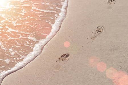 Human footprints on the sand beach. Sunny.の写真素材
