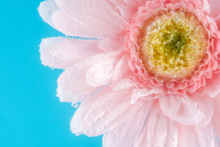 View of a daisy flower in soda water with bubbles. Summer concept. Close-up.の写真素材