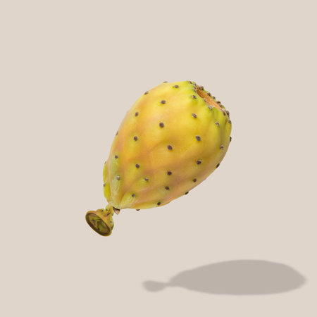 Cactus fruit balloon on bright background. Creative minimal concept.の写真素材