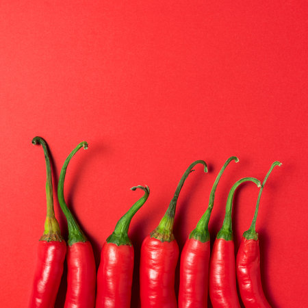 Creative layout of chili pepper on red background. Minimal food concept.