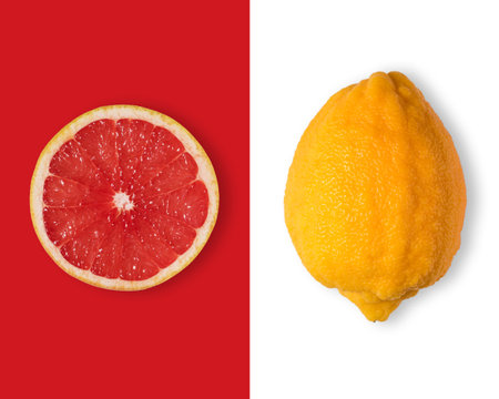 Creative layout made of grapefruit and bergamot. Flat lay. Food vegan concept.の写真素材