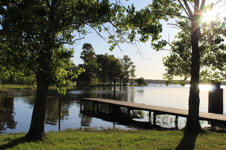 Wooden pier on the bank of the lake in the evening sunの写真素材