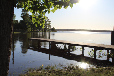 Wooden pier on the lake in the park. Summer landscape.の写真素材